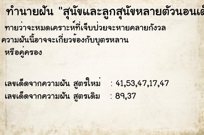 ทำนายฝันทำนายฝันสุนัขและลูกสุนัขหลายตัวนอนเต็มหลังร้าน