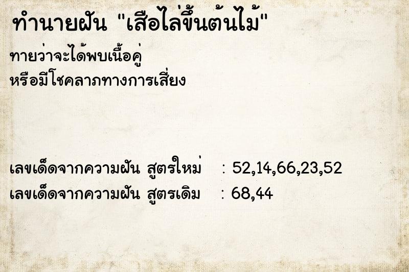 ทำนายฝัน เสือไล่ขึ้นต้นไม้ ตำราโบราณ แม่นที่สุดในโลก