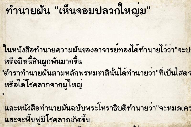 ทำนายฝันทำนายฝันเห็นจอมปลวกใหญ่ม