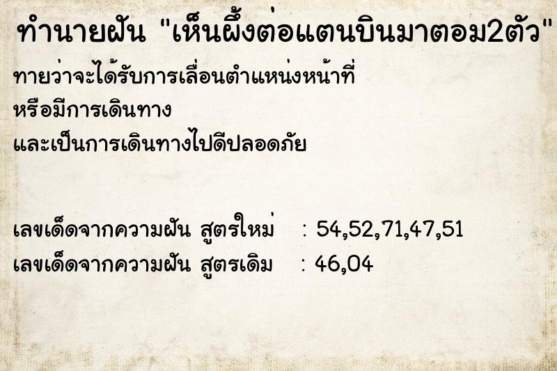 ทำนายฝันทำนายฝันเห็นผึ้งต่อแตนบินมาตอม2ตัว