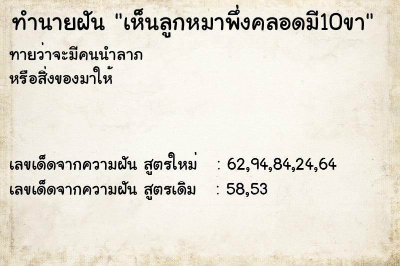 ทำนายฝันเห็นลูกหมาพึ่งคลอดมี10ขา ทำนายฝันทำนายฝันเห็นลูกหมาพึ่งคลอดมี10ขา
