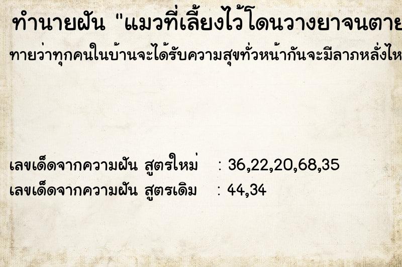 ทำนายฝัน แมวที่เลี้ยงไว้โดนวางยาจนตายเป็นแมวที่รักมาก ทำนายฝัน แมวที่เลี้ยงไว้โดนวางยาจนตายเป็นแมวที่รักมาก