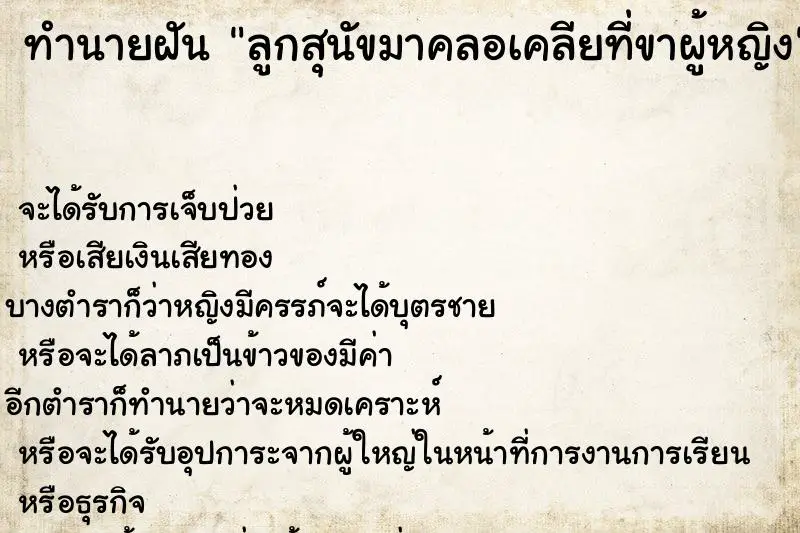 ทำนายฝัน ลูกสุนัขมาคลอเคลียที่ขาผู้หญิง ทำนายฝัน ลูกสุนัขมาคลอเคลียที่ขาผู้หญิง