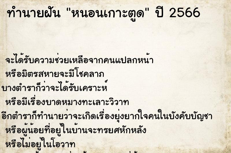 ทำนายฝันหนอนเกาะตูด ทำนายฝันทำนายฝันหนอนเกาะตูด
