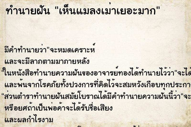 ทำนายฝัน เห็นแมลงเม่าเยอะมาก ทำนายฝัน เห็นแมลงเม่าเยอะมาก