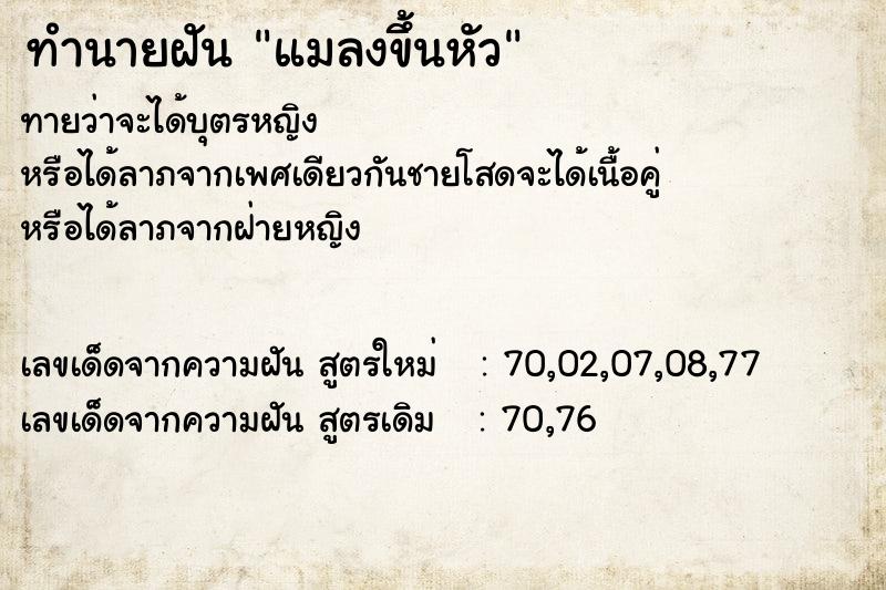 ทำนายฝันแมลงขึ้นหัว ทำนายฝันทำนายฝันแมลงขึ้นหัว