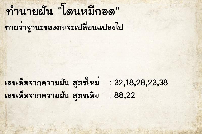 ทำนายฝันโดนหมีกอด ทำนายฝันทำนายฝันโดนหมีกอด