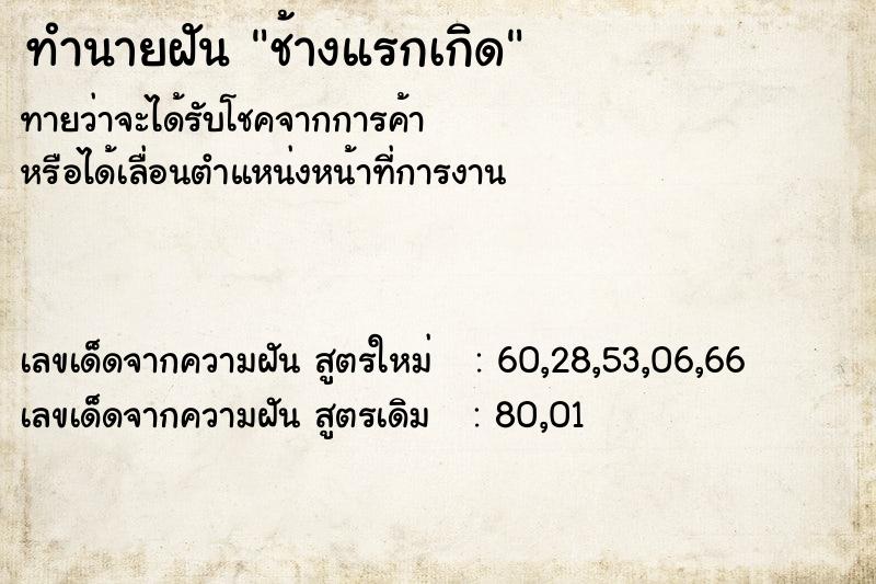 ทำนายฝันช้างแรกเกิด ทำนายฝันทำนายฝันช้างแรกเกิด