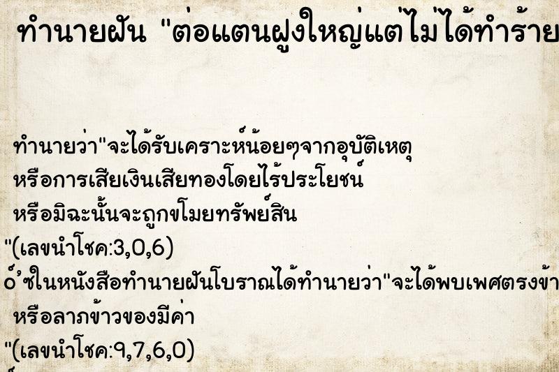 ทำนายฝันต่อแตนฝูงใหญ่แต่ไม่ได้ทำร้าย ทำนายฝันทำนายฝันต่อแตนฝูงใหญ่แต่ไม่ได้ทำร้าย