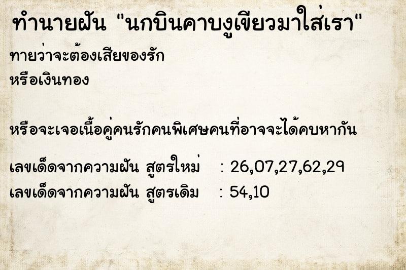 ทำนายฝันทำนายฝันนกบินคาบงูเขียวมาใส่เรา