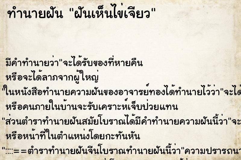 ทำนายฝัน ฝันเห็นไข่เจียว ทำนายฝัน ฝันเห็นไข่เจียว