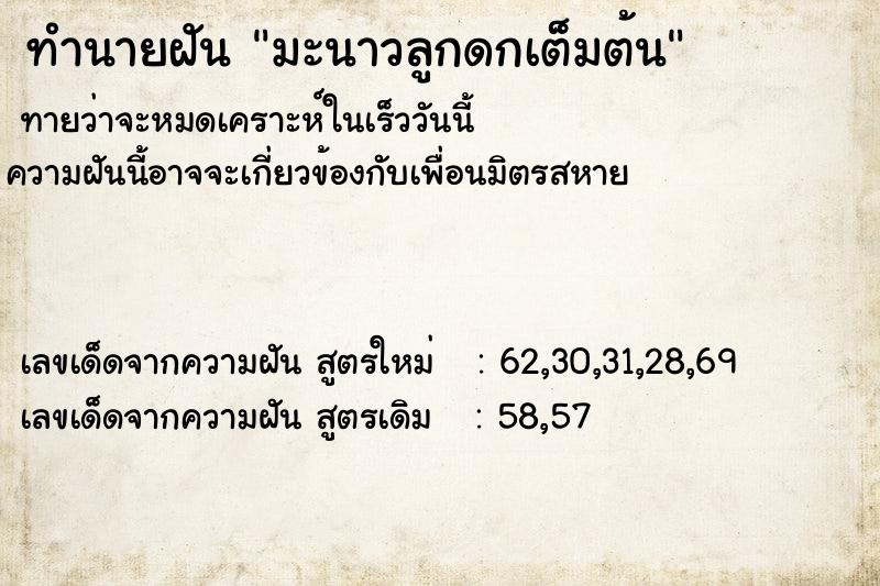 ทำนายฝัน มะนาวลูกดกเต็มต้น