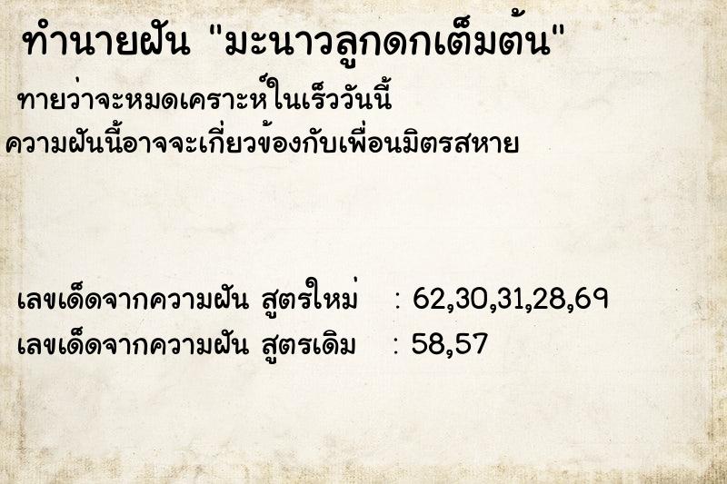 ทำนายฝัน มะนาวลูกดกเต็มต้น ตำราโบราณ แม่นที่สุดในโลก