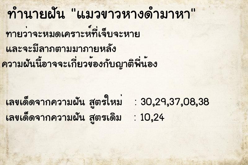 ทำนายฝันทำนายฝันแมวขาวหางดำมาหา