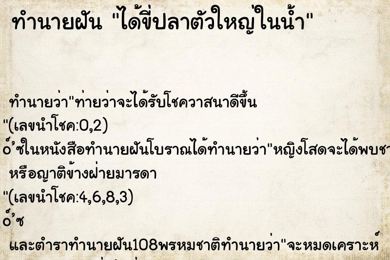 ทำนายฝันทำนายฝันได้ขี่ปลาตัวใหญ่ในน้ำ