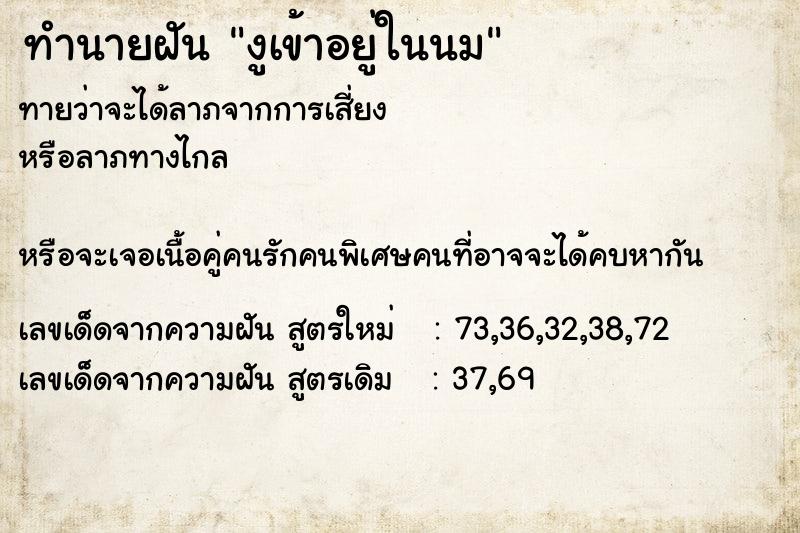 ทำนายฝันงูเข้าอยู่ในนม ทำนายฝันทำนายฝันงูเข้าอยู่ในนม