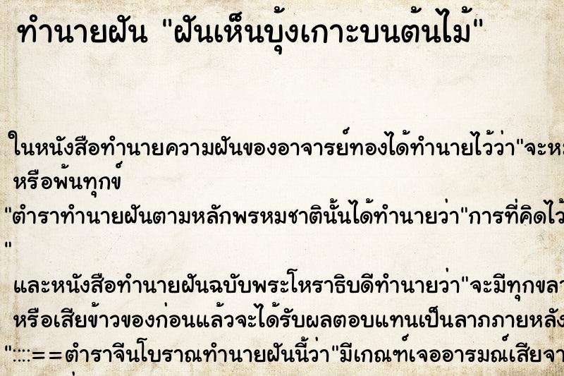 ทำนายฝันทำนายฝันฝันเห็นบุ้งเกาะบนต้นไม้