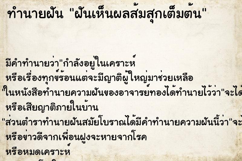 ทำนายฝัน ฝันเห็นผลส้มสุกเต็มต้น ทำนายฝัน ฝันเห็นผลส้มสุกเต็มต้น