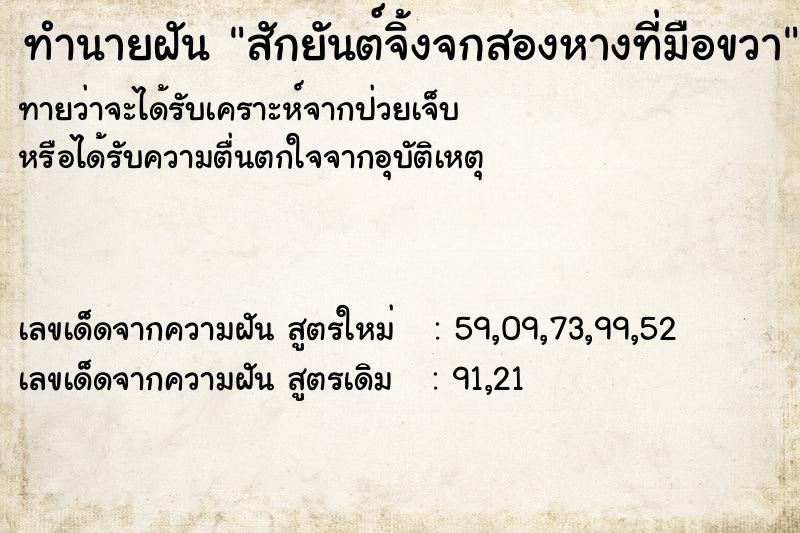 ทำนายฝันทำนายฝันสักยันต์จิ้งจกสองหางที่มือขวา