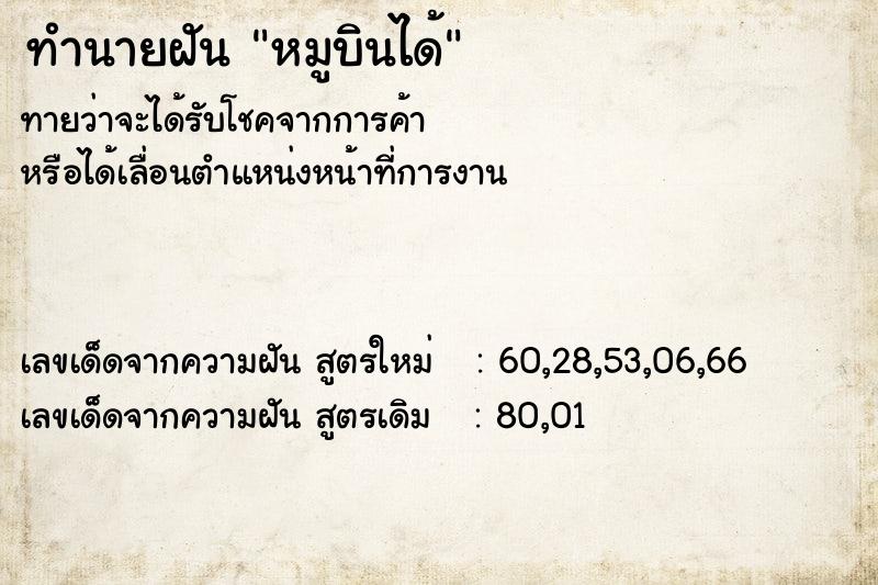 ทำนายฝันทำนายฝันหมูบินได้