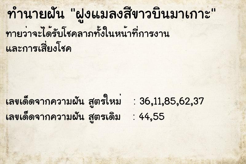 ทำนายฝันทำนายฝันฝูงแมลงสีขาวบินมาเกาะ