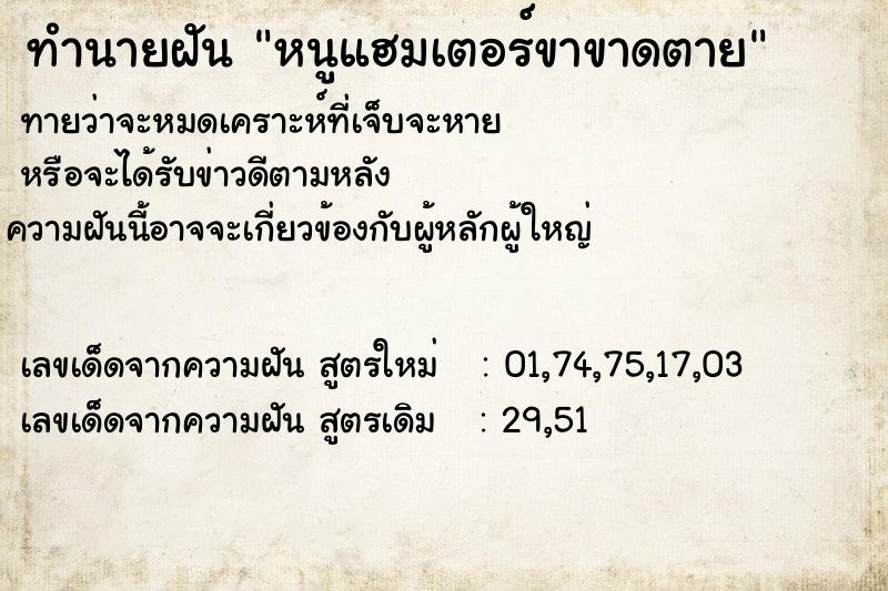 ทำนายฝันทำนายฝันหนูแฮมเตอร์ขาขาดตาย