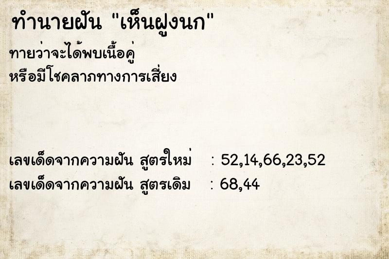 ทำนายฝันเห็นฝูงนก ทำนายฝันทำนายฝันเห็นฝูงนก