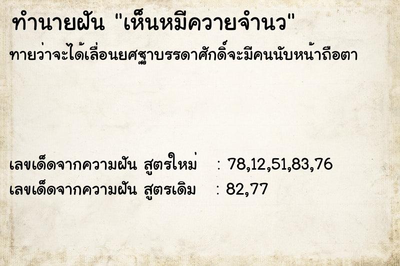 ทำนายฝันเห็นหมีควายจำนว ทำนายฝันทำนายฝันเห็นหมีควายจำนว