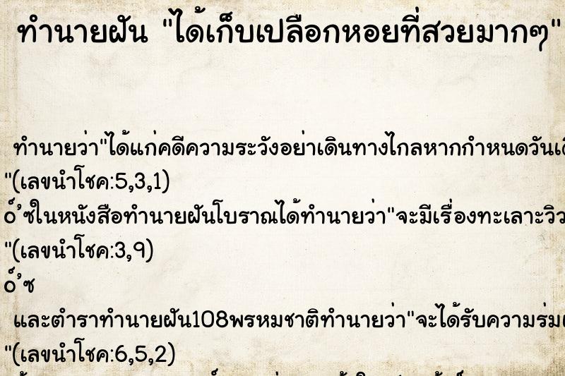 ทำนายฝัน ได้เก็บเปลือกหอยที่สวยมากๆ ทำนายฝัน ได้เก็บเปลือกหอยที่สวยมากๆ
