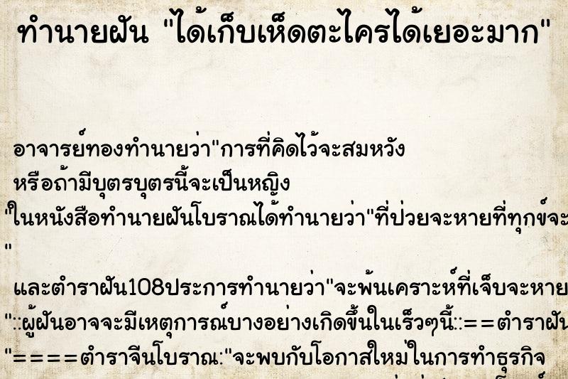 ทำนายฝัน ได้เก็บเห็ดตะไครได้เยอะมาก