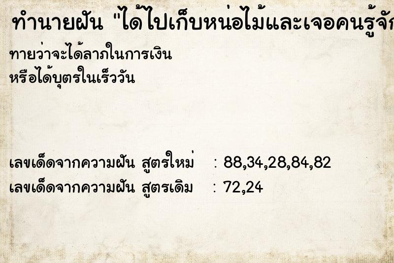 ทำนายฝันได้ไปเก็บหน่อไม้และเจอคนรู้จักสองคน ทำนายฝันทำนายฝันได้ไปเก็บหน่อไม้และเจอคนรู้จักสองคน