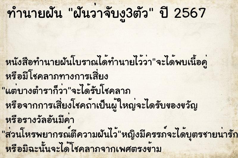 ทำนายฝัน ฝันว่าจับงู3ตัว ทำนายฝัน ฝันว่าจับงู3ตัว