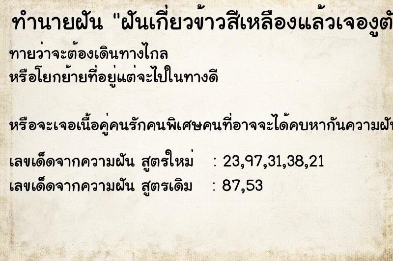 ทำนายฝันทำนายฝันฝันเกี่ยวข้าวสีเหลืองแล้วเจองูตัวใหญ่จะชกหัว