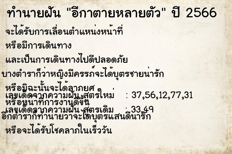 ทำนายฝัน อีกาตายหลายตัว ทำนายฝัน อีกาตายหลายตัว