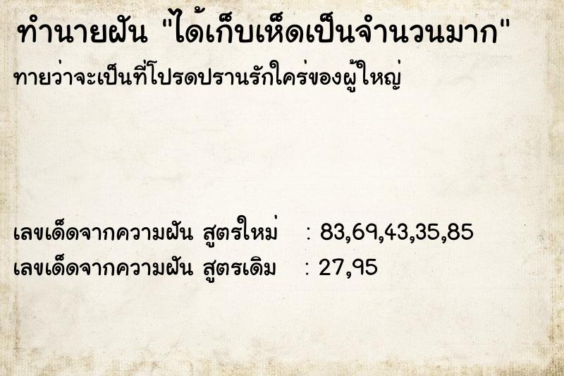 ทำนายฝันได้เก็บเห็ดเป็นจำนวนมาก ทำนายฝันทำนายฝันได้เก็บเห็ดเป็นจำนวนมาก