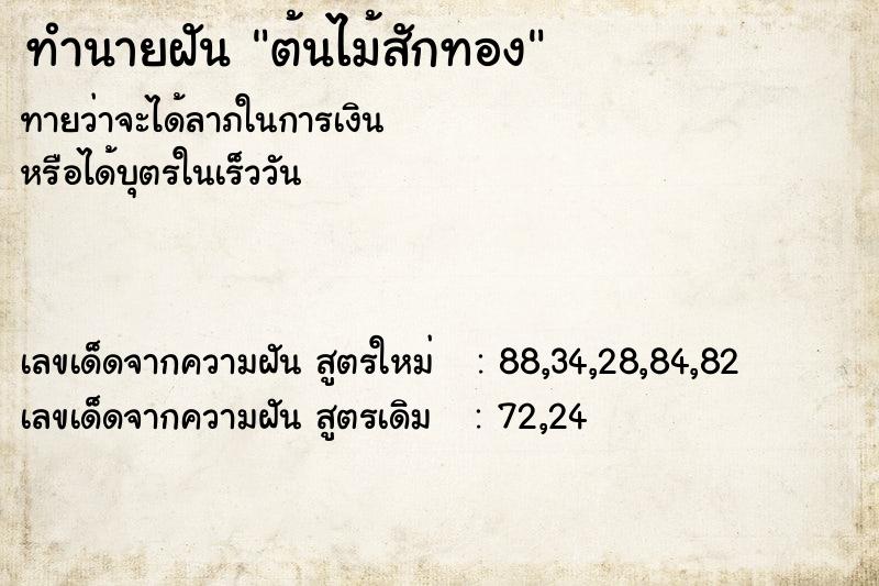 ทำนายฝันต้นไม้สักทอง ทำนายฝันทำนายฝันต้นไม้สักทอง