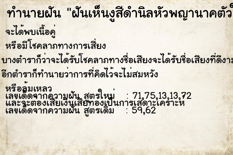 ทำนายฝันทำนายฝันฝันเห็นงูสีดำนิลหัวพญานาคตัวใหญ่