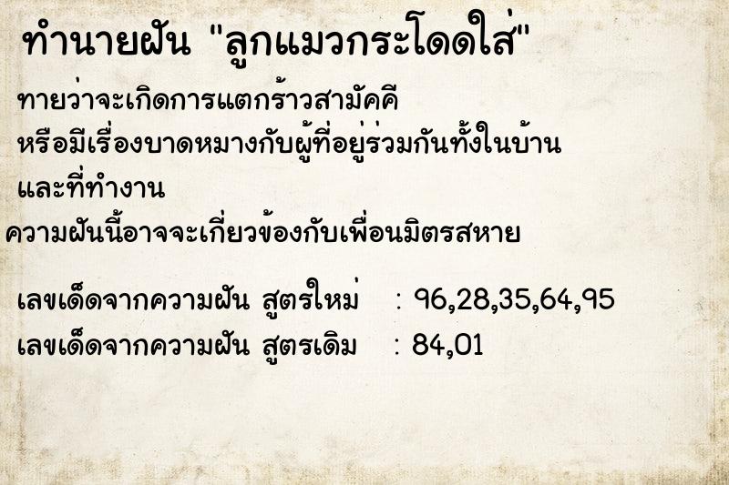 ทำนายฝัน ลูกแมวกระโดดใส่ ทำนายฝัน ลูกแมวกระโดดใส่