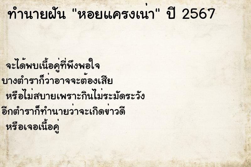 ทำนายฝันหอยแครงเน่า ทำนายฝันทำนายฝันหอยแครงเน่า