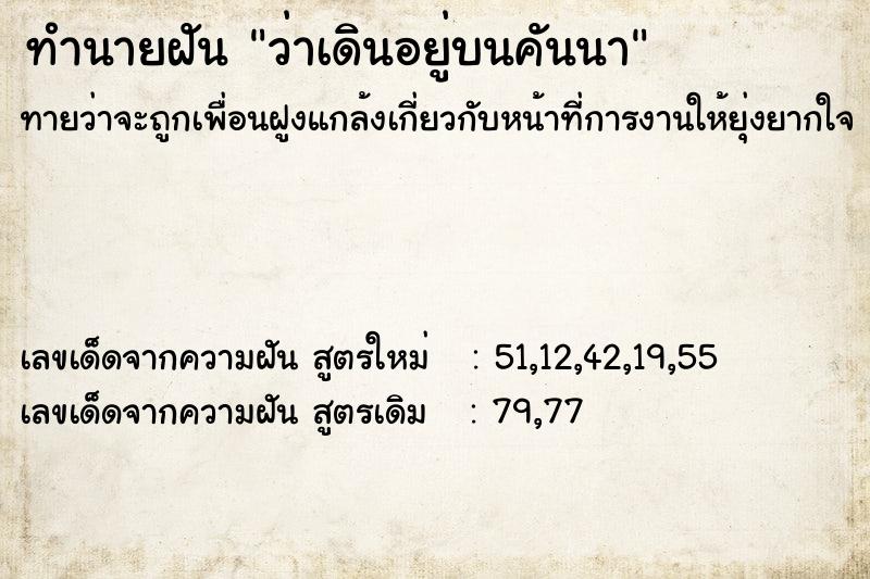 ทำนายฝันว่าเดินอยู่บนคันนา ทำนายฝันทำนายฝันว่าเดินอยู่บนคันนา