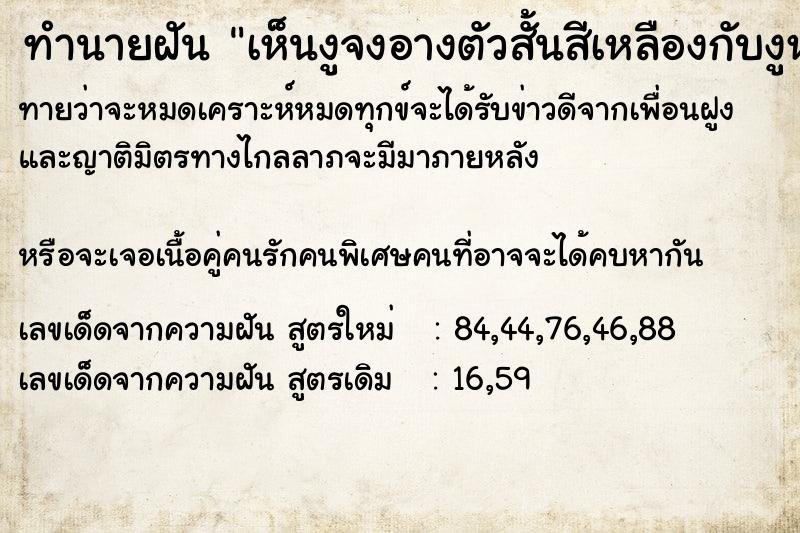 ทำนายฝันเห็นงูจงอางตัวสั้นสีเหลืองกับงูหลาม ทำนายฝันทำนายฝันเห็นงูจงอางตัวสั้นสีเหลืองกับงูหลาม