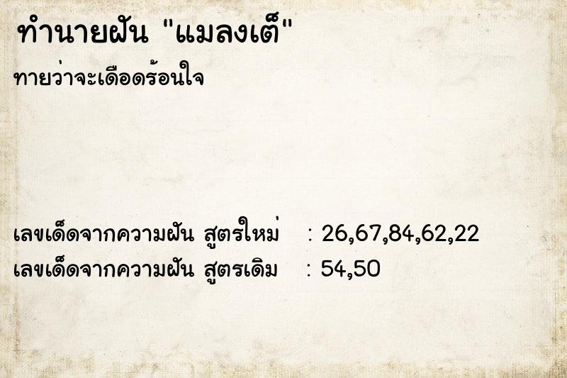 ทำนายฝันแมลงเต็ ทำนายฝันทำนายฝันแมลงเต็