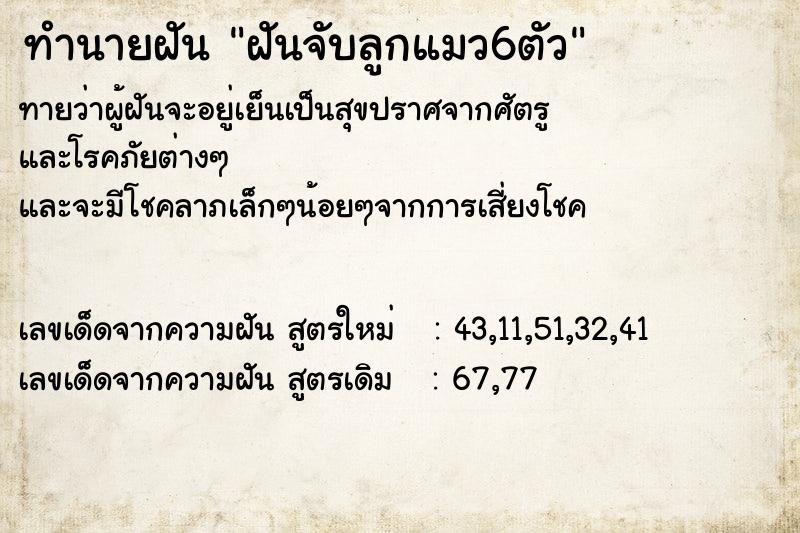 ทำนายฝันฝันจับลูกแมว6ตัว ทำนายฝันทำนายฝันฝันจับลูกแมว6ตัว