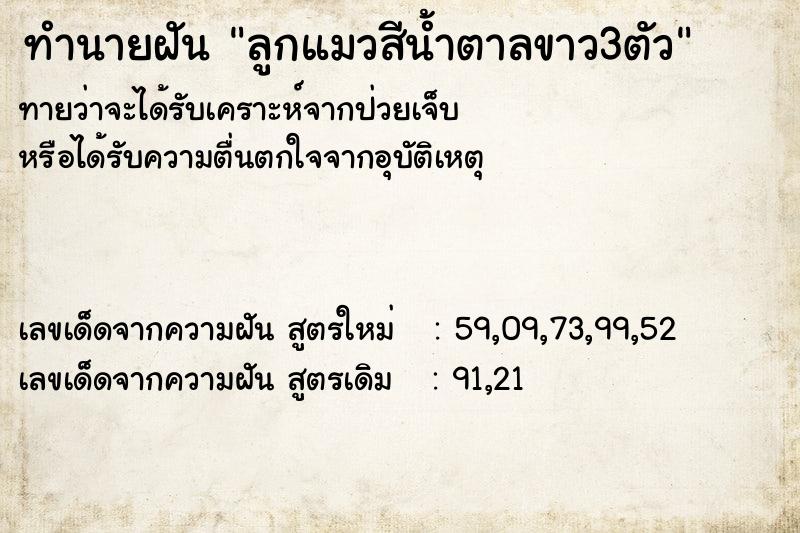 ทำนายฝัน ลูกแมวสีน้ำตาลขาว3ตัว ทำนายฝัน ลูกแมวสีน้ำตาลขาว3ตัว