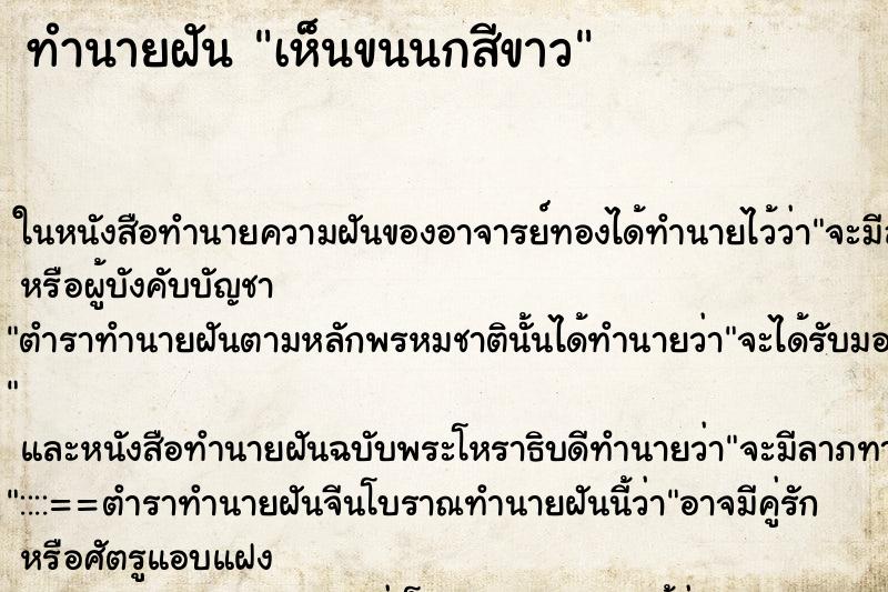 ทำนายฝัน เห็นขนนกสีขาว ทำนายฝัน เห็นขนนกสีขาว