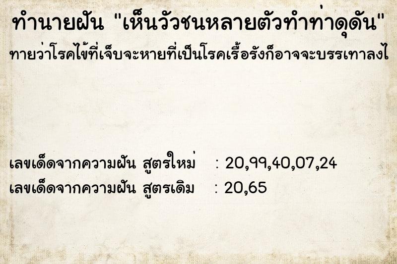 ทำนายฝัน เห็นวัวชนหลายตัวทำท่าดุดัน ทำนายฝัน เห็นวัวชนหลายตัวทำท่าดุดัน