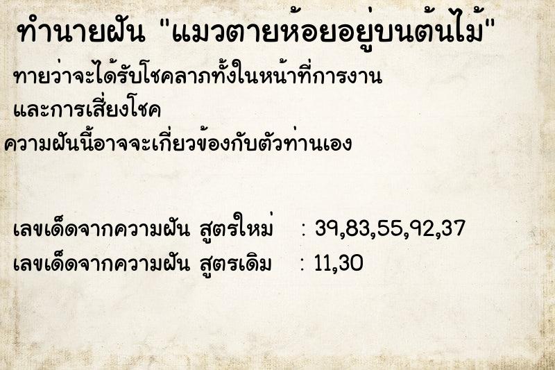 ทำนายฝันทำนายฝันแมวตายห้อยอยู่บนต้นไม้