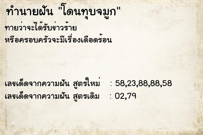 ทำนายฝันทำนายฝันโดนทุบจมูก
