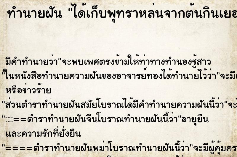 ทำนายฝัน ได้เก็บพุทราหล่นจากต้นกินเยอะมาก ทำนายฝัน ได้เก็บพุทราหล่นจากต้นกินเยอะมาก