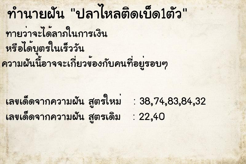 ทำนายฝัน ปลาไหลติดเบ็ด1ตัว ทำนายฝัน ปลาไหลติดเบ็ด1ตัว